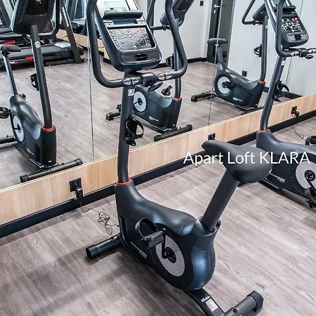 Apart Loft Klara *